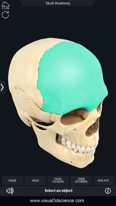 My Skull Anatomy Screenshots